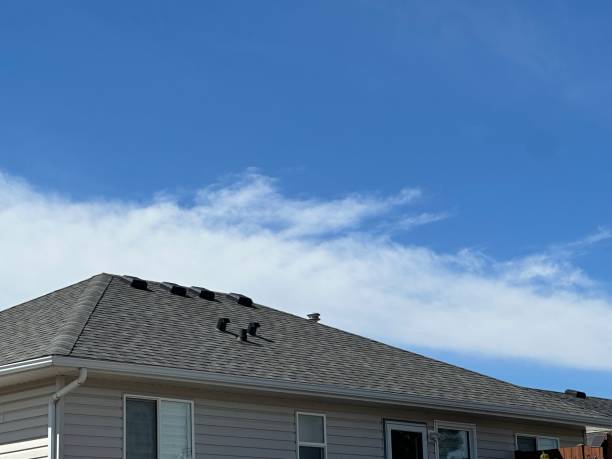 Reliable Pine Prairie, LA Roofing Solutions