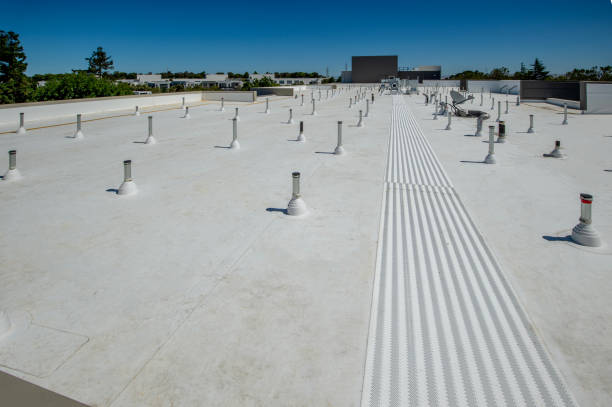 Roof Coating Services